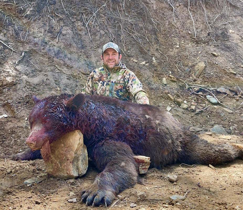 That was one BIG BLACK BEAR!!!  Outfitter and guides for Bear, Cougar, Deer, Elk and Wolves.