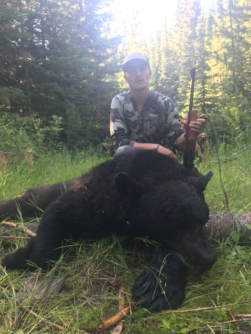 Record size bear taken from North Idaho while hunting with a great outfitter and guide.